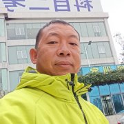 向宝强