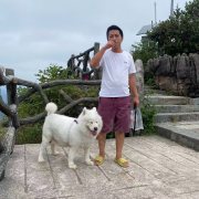 雷虎