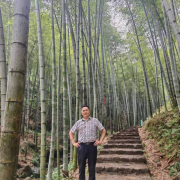 翟冬