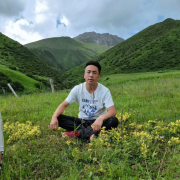李双全